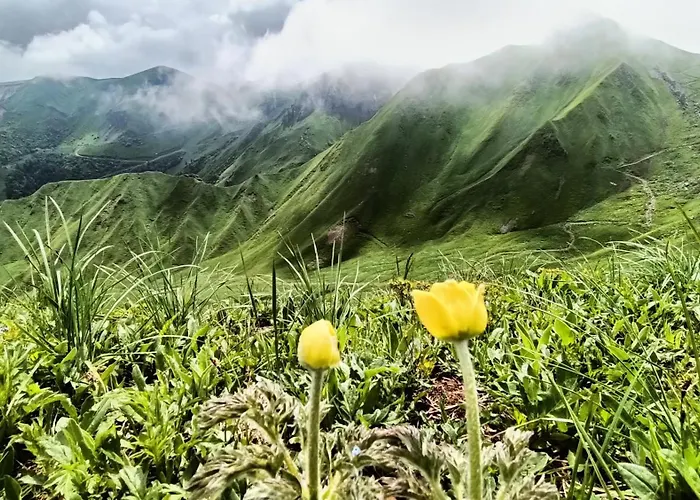 Classe 4 Personnes Face Aux Thermes, Avec Coin Nuit