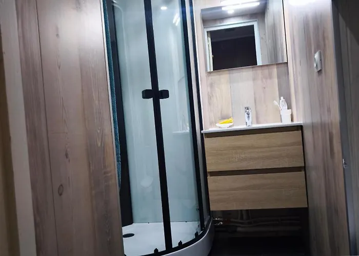 Appartement Classe 4 Personnes Face Aux Thermes, Avec Coin Nuit Le Mont-Dore